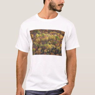 Camiseta Paisagem de outono, Vermont, EUA 2