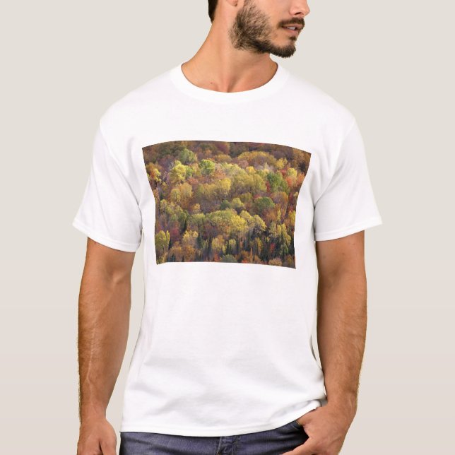 Camiseta Paisagem de outono, Vermont, EUA 2 (Frente)