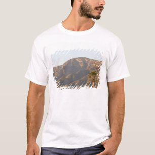 Camiseta Paisagem de rancho desértico perto de Monterey, Mé
