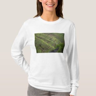 Camiseta Paisagem de terraços de arroz na montanha,
