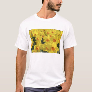 Camiseta Países Baixos, Holanda, Lisse, Jardins Keukenhof,