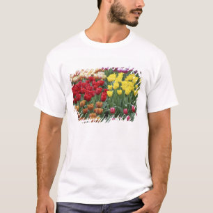 Camiseta Países Baixos, Jardins Keukenhoff, tulipas.