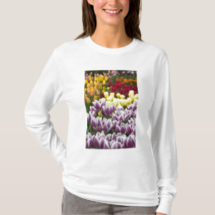 Camiseta Países Baixos (também conhecido como Holanda), Lis