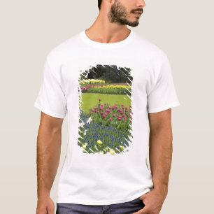 Camiseta Países Baixos (também conhecido como Holanda), Lis