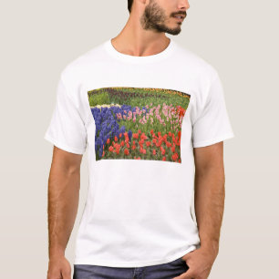 Camiseta Países Baixos (também conhecido como Holanda), Lis