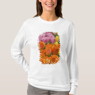 Camiseta Países Baixos (também conhecido como Holanda), Lis