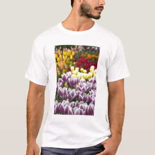 Camiseta Países Baixos (também conhecido como Holanda), Lis