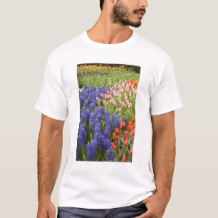 Camiseta Países Baixos (também conhecido como Holanda), Lis