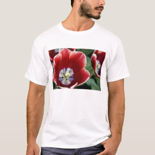 Camiseta Países Baixos (também conhecido como Holanda), Lis