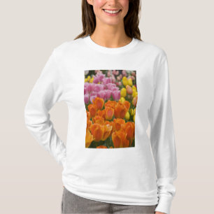 Camiseta Países Baixos (também conhecido como Holanda), Lis