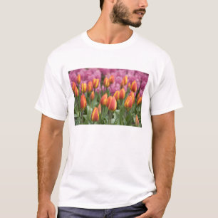 Camiseta Países Baixos (também conhecido como Holanda), Lis