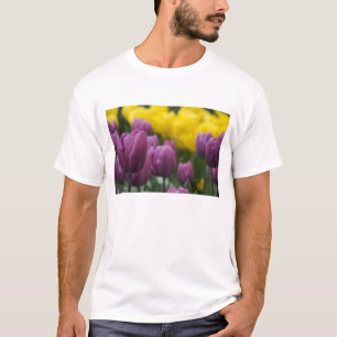 Camiseta Países Baixos (também conhecido como Holanda), Lis