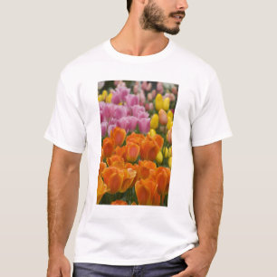 Camiseta Países Baixos (também conhecido como Holanda), Lis