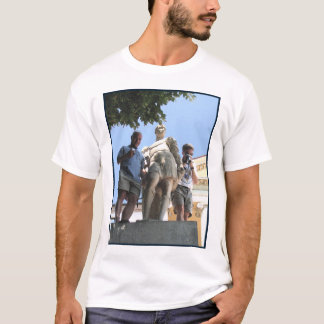 Camiseta Paladio
