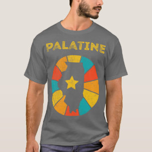 Camiseta Palatine Illinois Vintage angustiou Souvenir 1