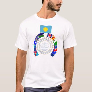 Camiseta Palau embandeira o Pinwheel