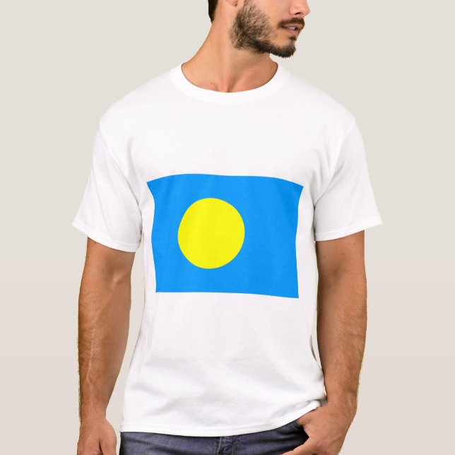Camiseta Palau Flag (Frente)