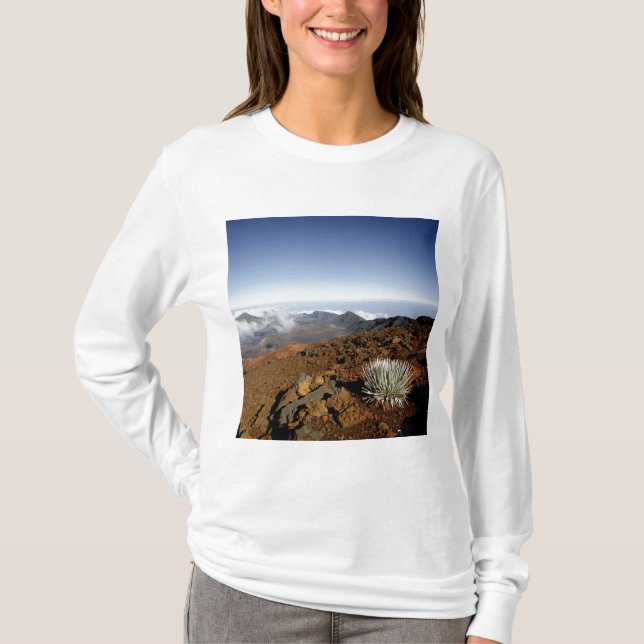 Camiseta Palavra-de-prata sobre a cratera de Haleakala (Frente)
