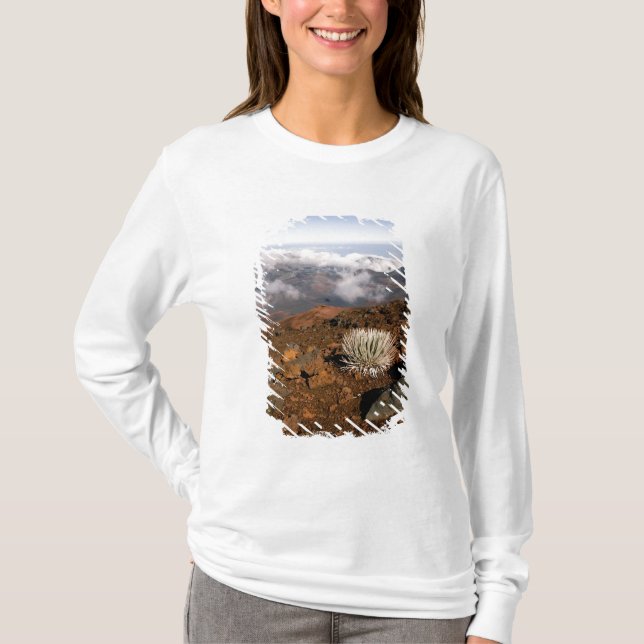 Camiseta Palavra-de-prata sobre a cratera de Haleakala, per (Frente)