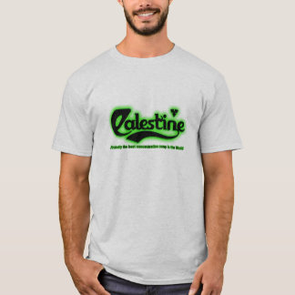 Camiseta Palestina provavelmente