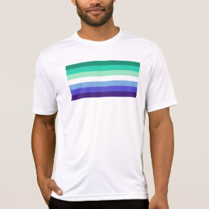 Camiseta Paleta da bandeira de homens gays trans-inclusivos