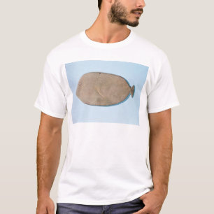 Camiseta Paleta na forma de um peixe