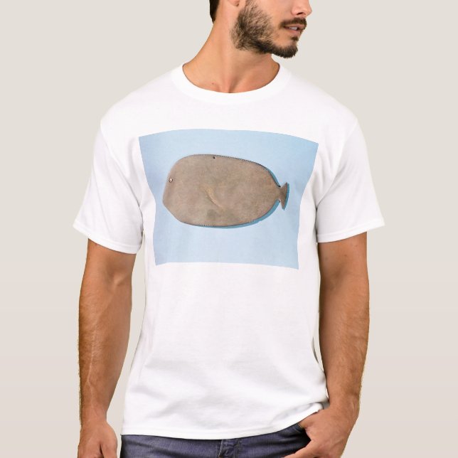 Camiseta Paleta na forma de um peixe (Frente)