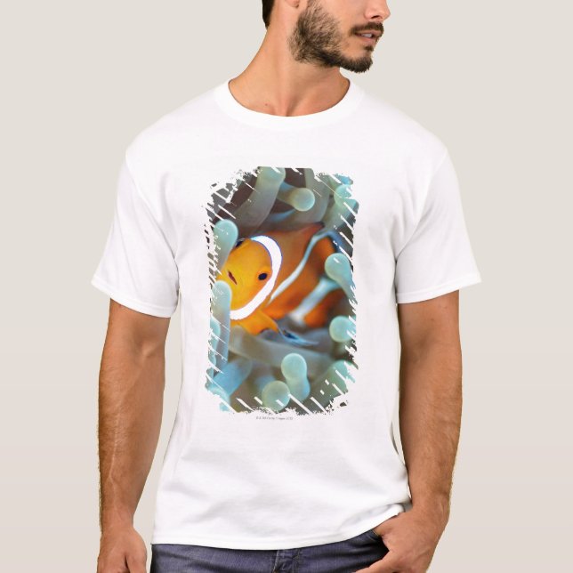 Camiseta Palhaço Anemonefish (Frente)