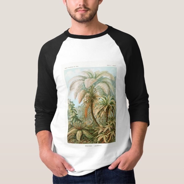 Camiseta Palm Tree Ernst Haeckel (Frente)