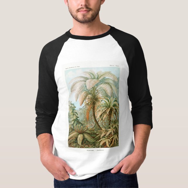 Camiseta Palm Tree Ernst Haeckel (Frente)