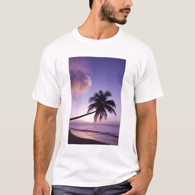 Camiseta Palmeira solitária na praia do Coconut Grove (Frente)
