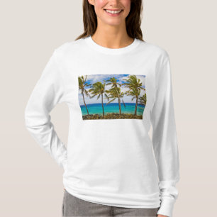 Camiseta Palmeiras de coco (Cocos nucifera) balançando ao