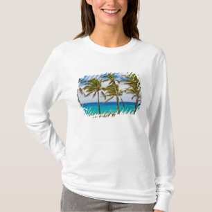 Camiseta Palmeiras de coco (Cocos nucifera) balançando ao