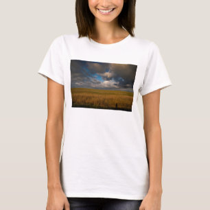 Camiseta Pampas