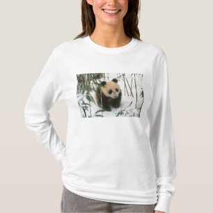 Camiseta Panda cub na neve, Wolong, Sichuan, China