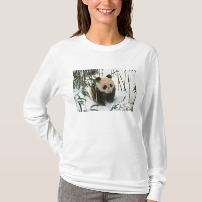 Camiseta Panda cub na neve, Wolong, Sichuan, China (Frente)