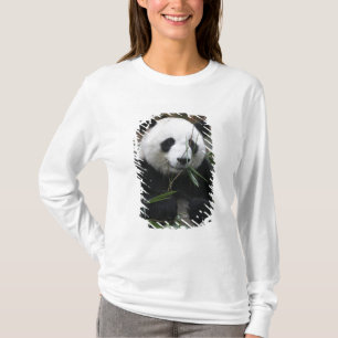 Camiseta Panda gigante