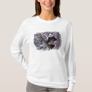 Camiseta Panda gigante em pé sobre uma árvore, Wolong, Sich