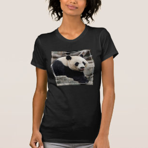 Camiseta Panda gigante em rochas
