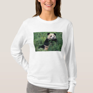 Camiseta Panda gigante na grama, Vale de Wolong, Sichuan