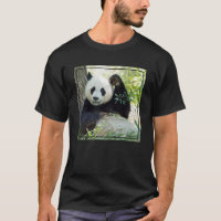 Panda gigante que descansa contra a árvore
