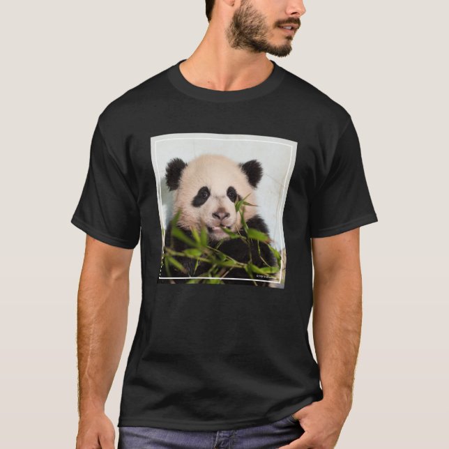 Camiseta Panda gigante que inclina-se contra a parede (Frente)
