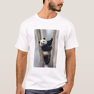 Camiseta Panda jovem subindo em uma árvore, China
