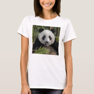 Camiseta Panda nova feliz, China