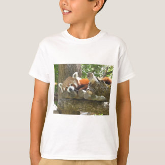 Camiseta panda vermelha