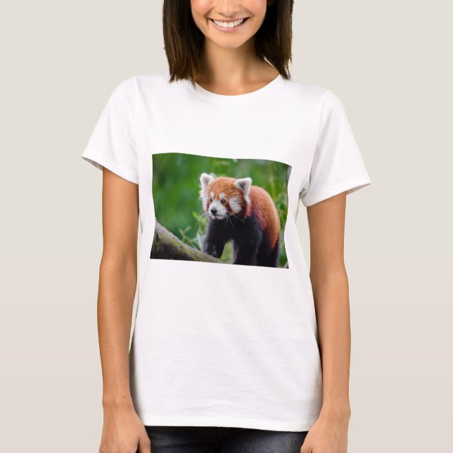 Camiseta Panda vermelha (Frente)