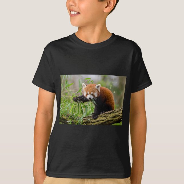 Camiseta Panda Vermelha Comendo Folha Verde (Frente)
