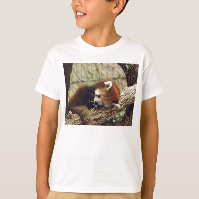 Camiseta Panda Vermelha e Bonita com Comida na boca (Frente)