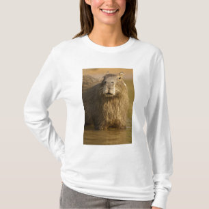 Camiseta Pantanal, Brasil, Capivara, Hydrochoerus