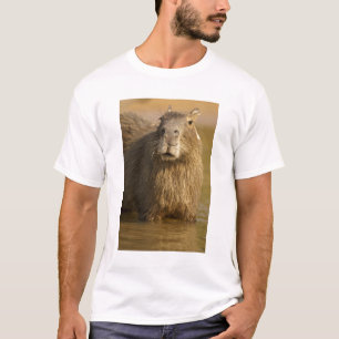 Camiseta Pantanal, Brasil, Capivara, Hydrochoerus